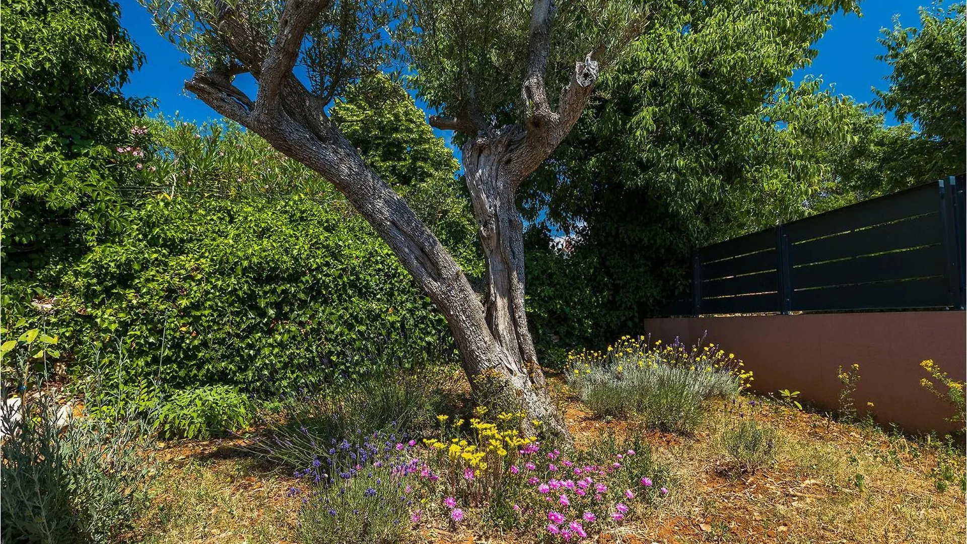 Villa Martulin Pula Holiday home